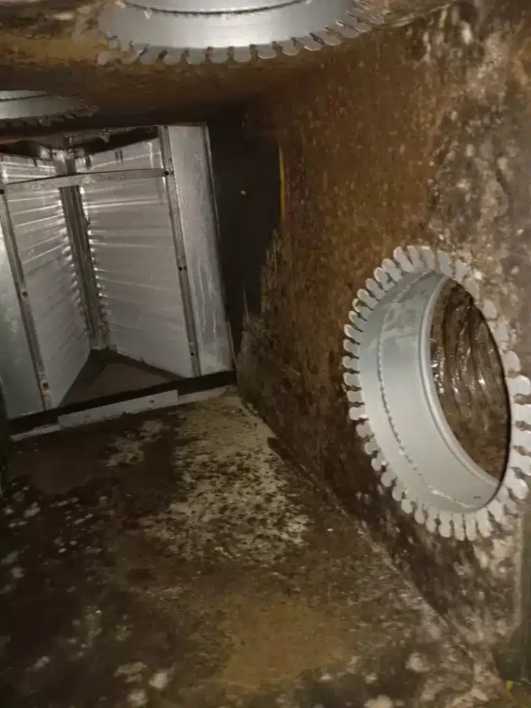 residential commercial air duct experts philips